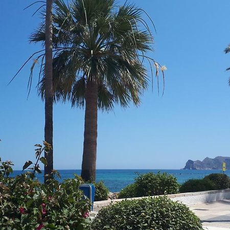 Small Studio Apartment Altea Exteriör bild