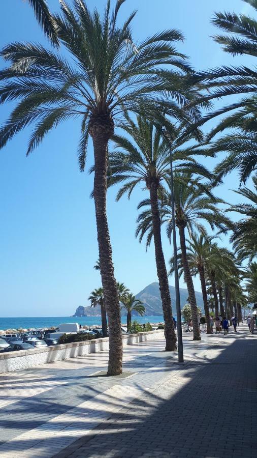 Small Studio Apartment Altea Exteriör bild